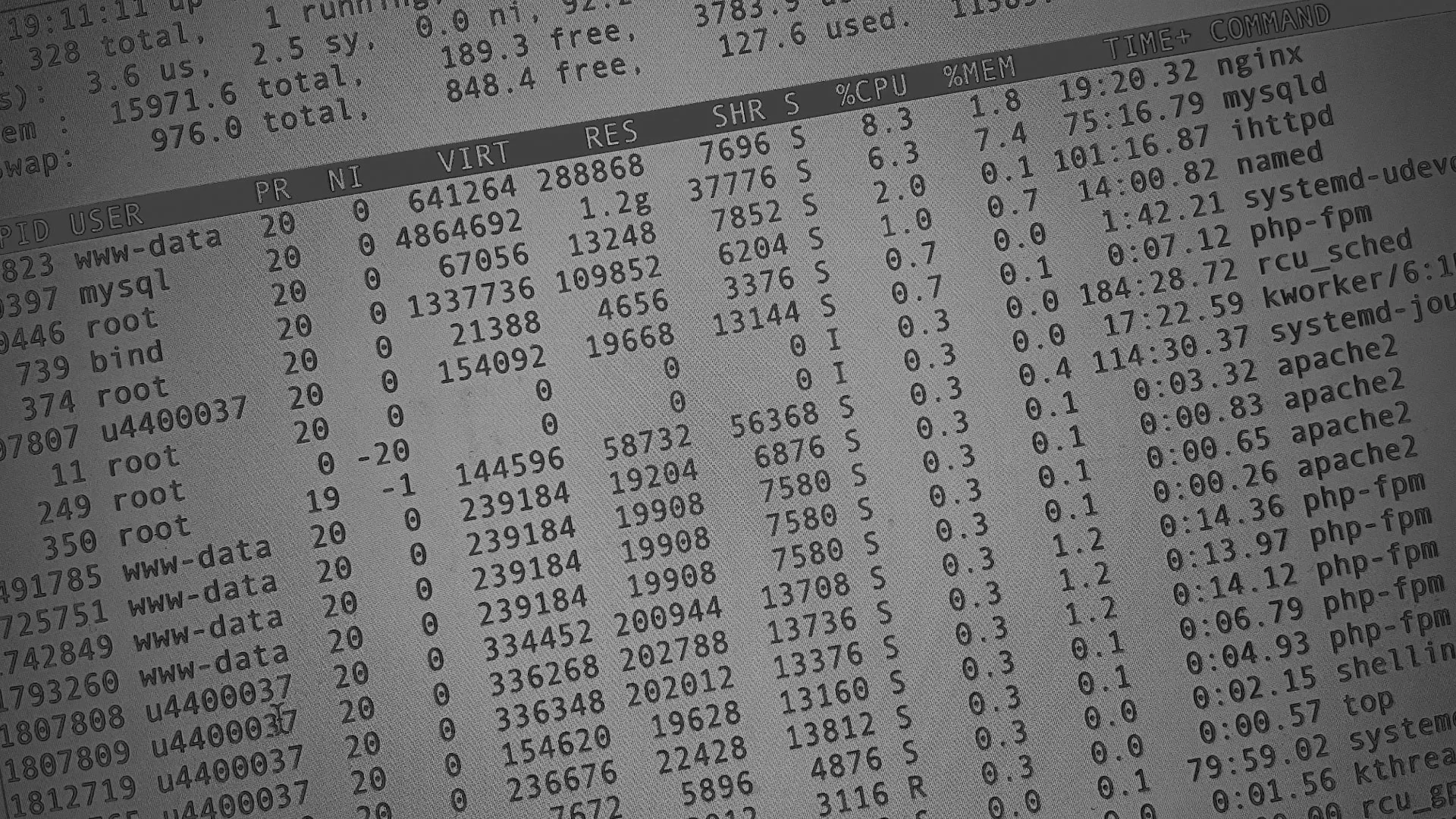 Настройка сервера в Кубинке