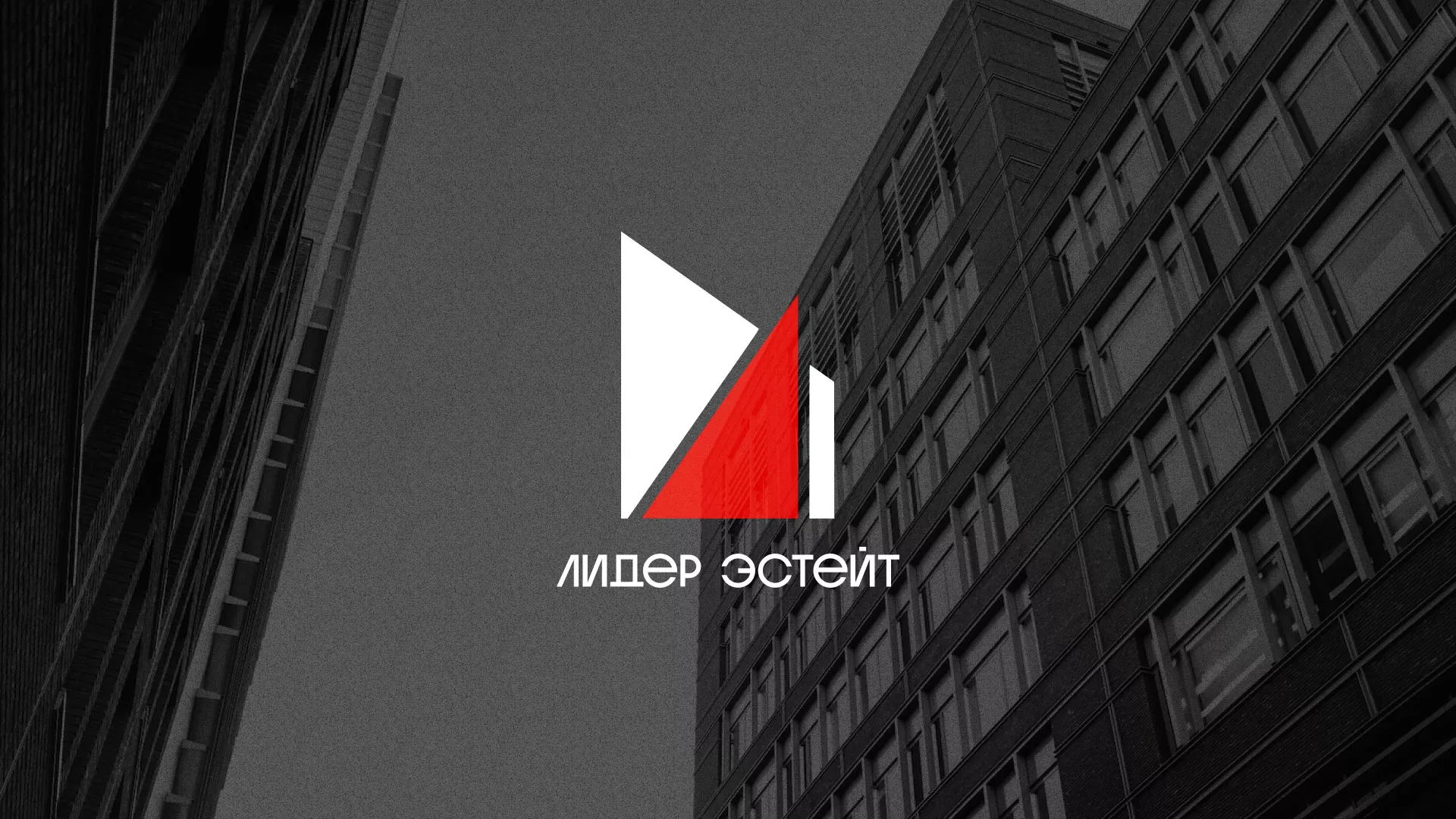 Сделали логотип для агентства недвижимости «Лидер Эстейт» в Кубинке
